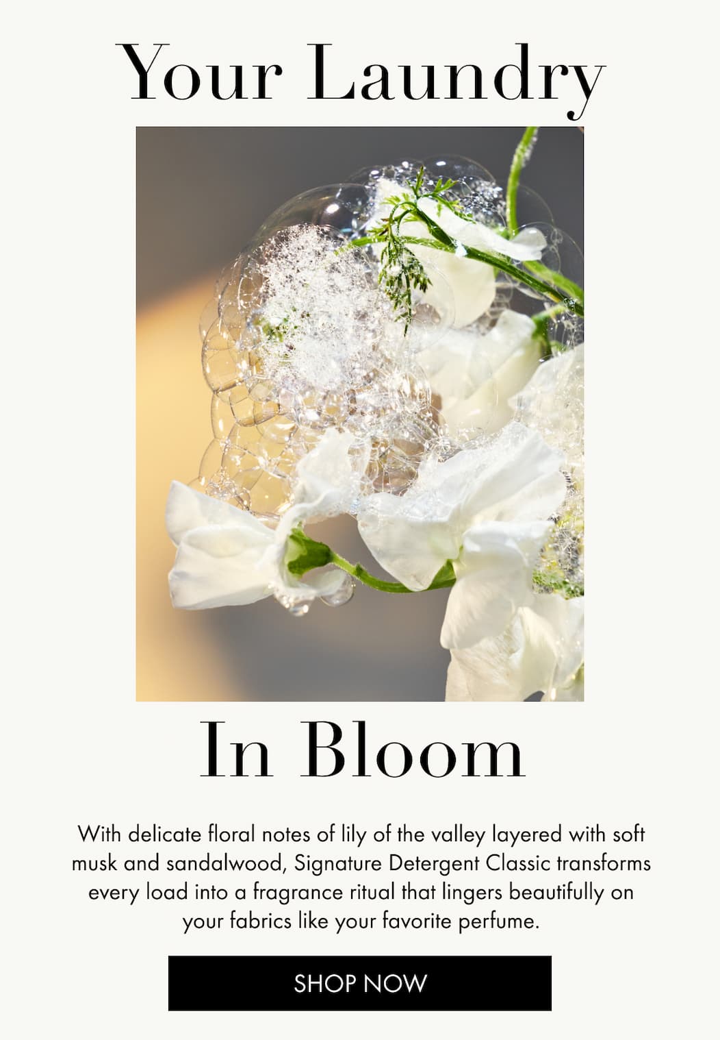 Your laundry in bloom with notes of Lily of the Valley, Musk, Sandalwood 