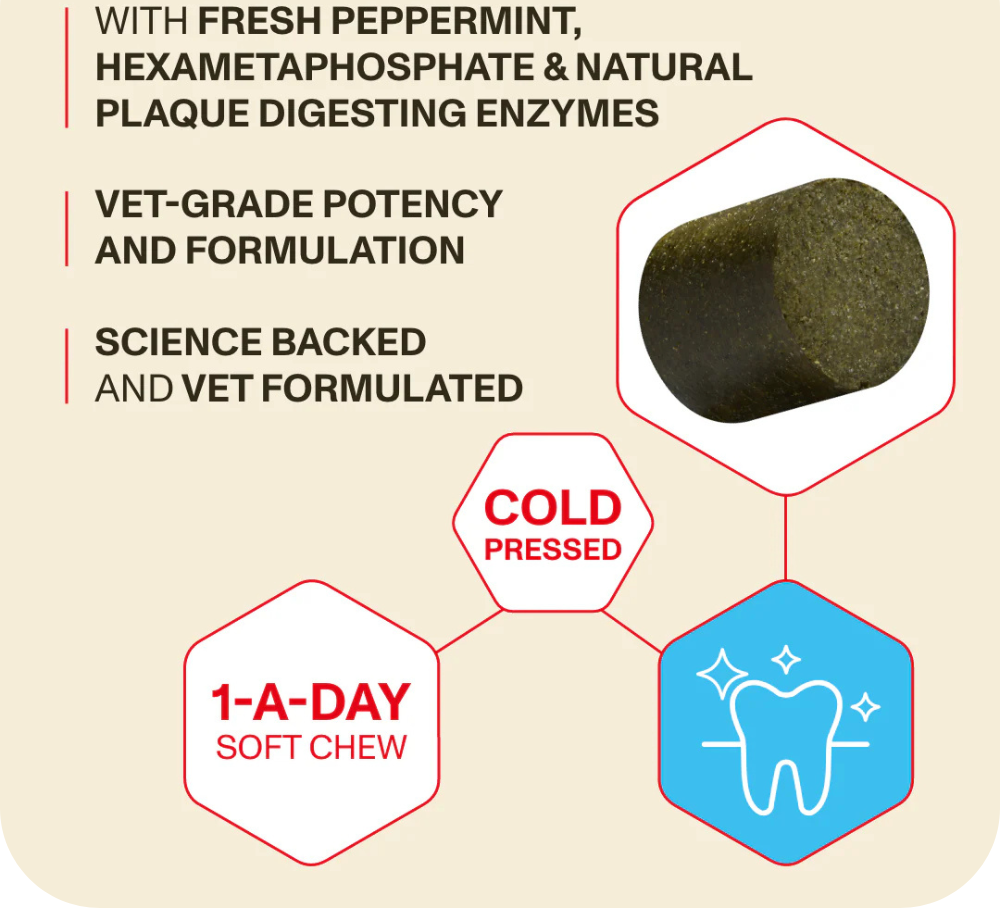 Fresh breath chews