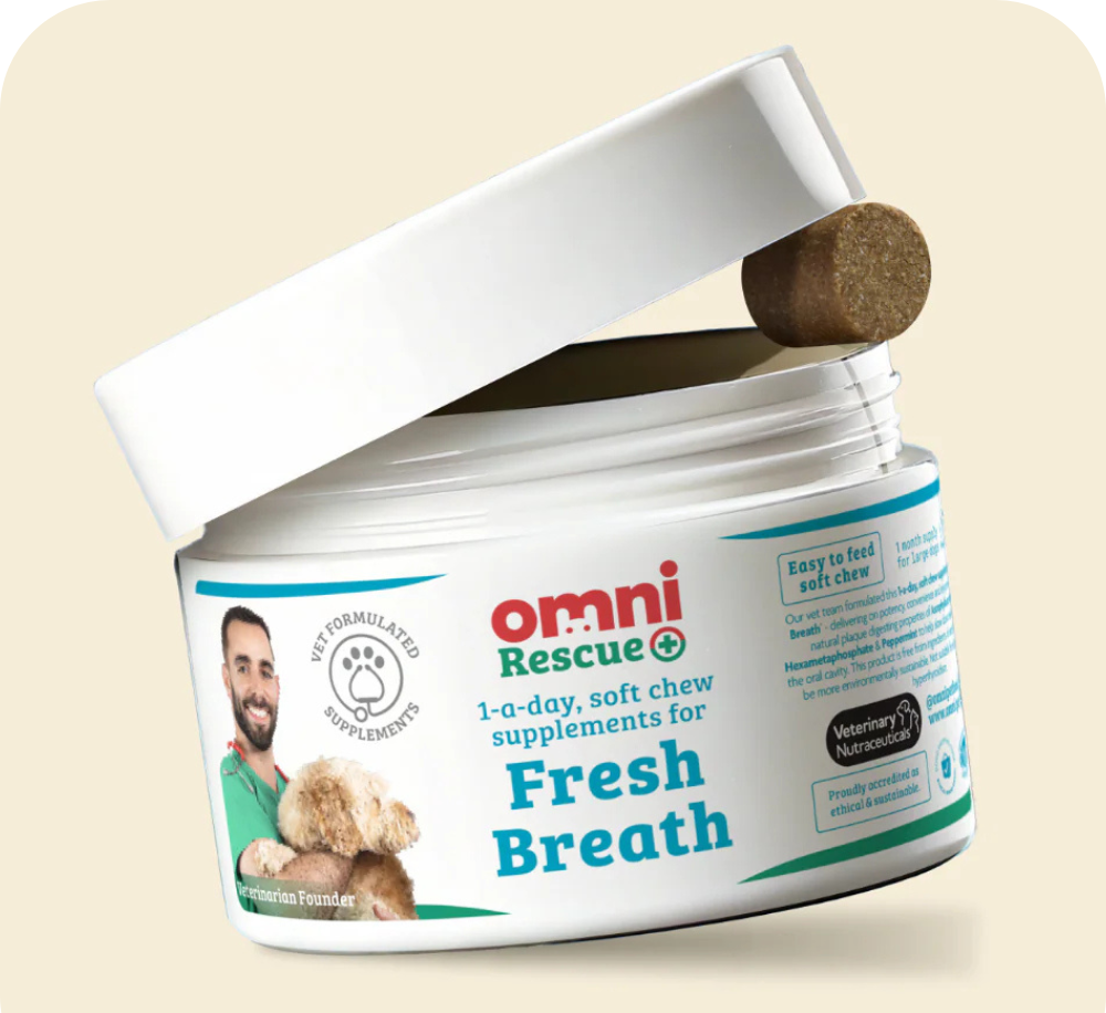Fresh breath chews