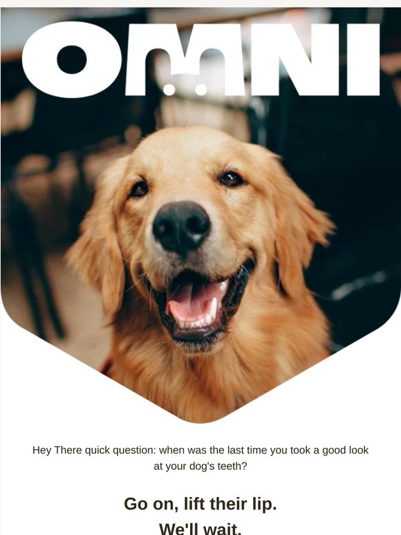 80% of dogs over 3 have 🦷 disease.