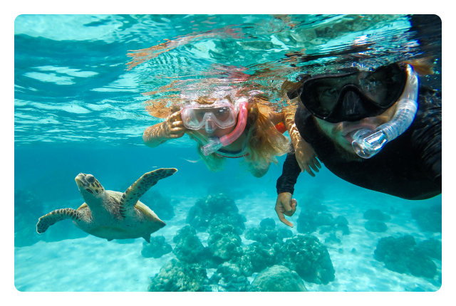 Enjoy a vacation with your family in Ecuador