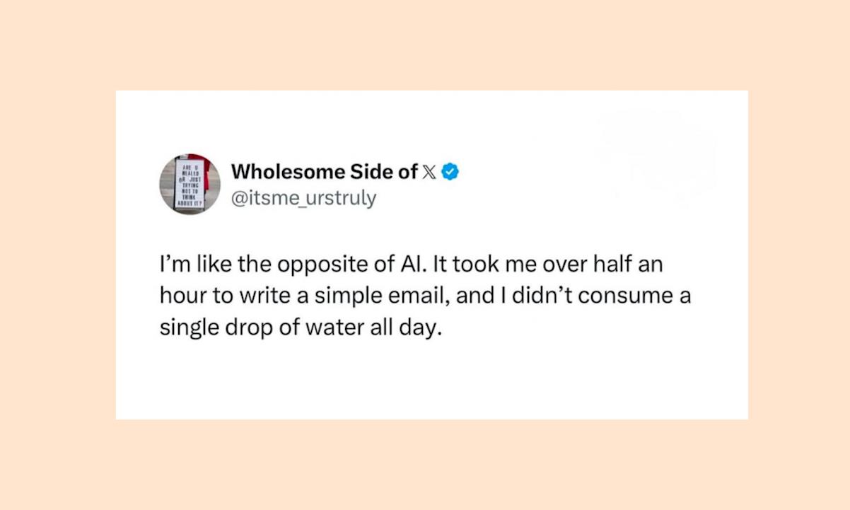 I'm the opposite of AI