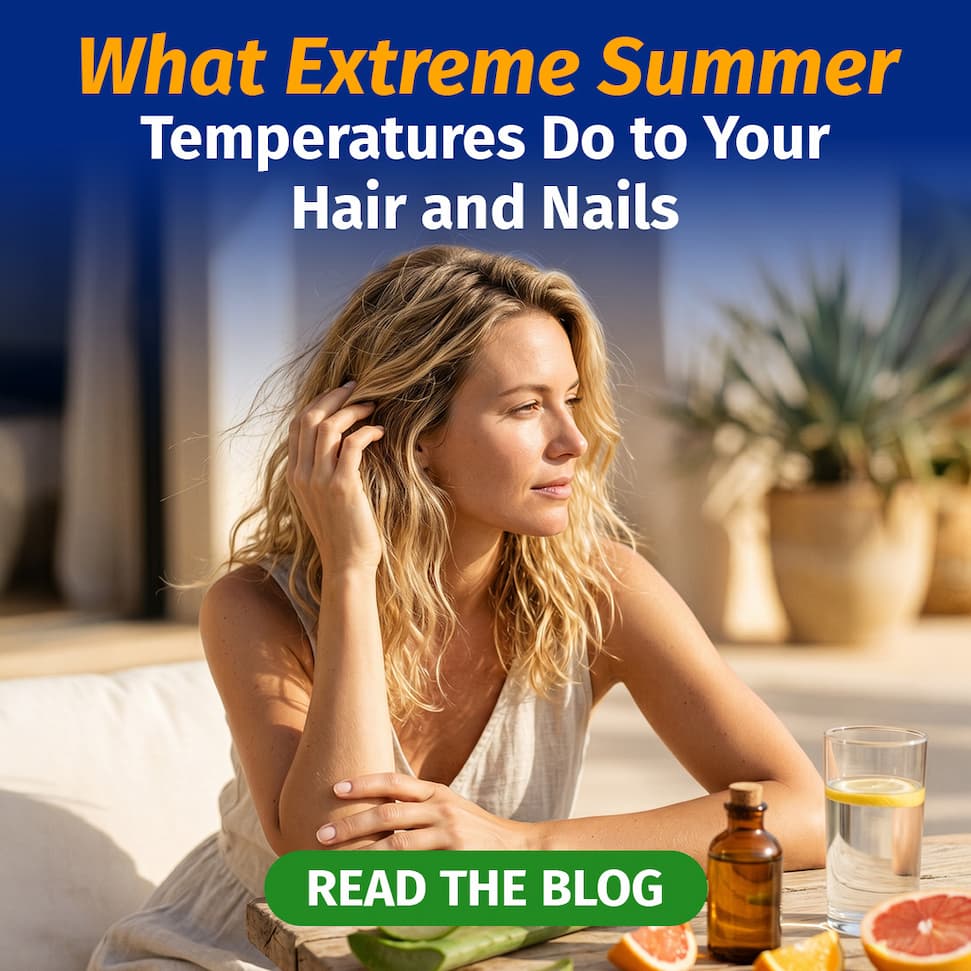READ THE BLOG