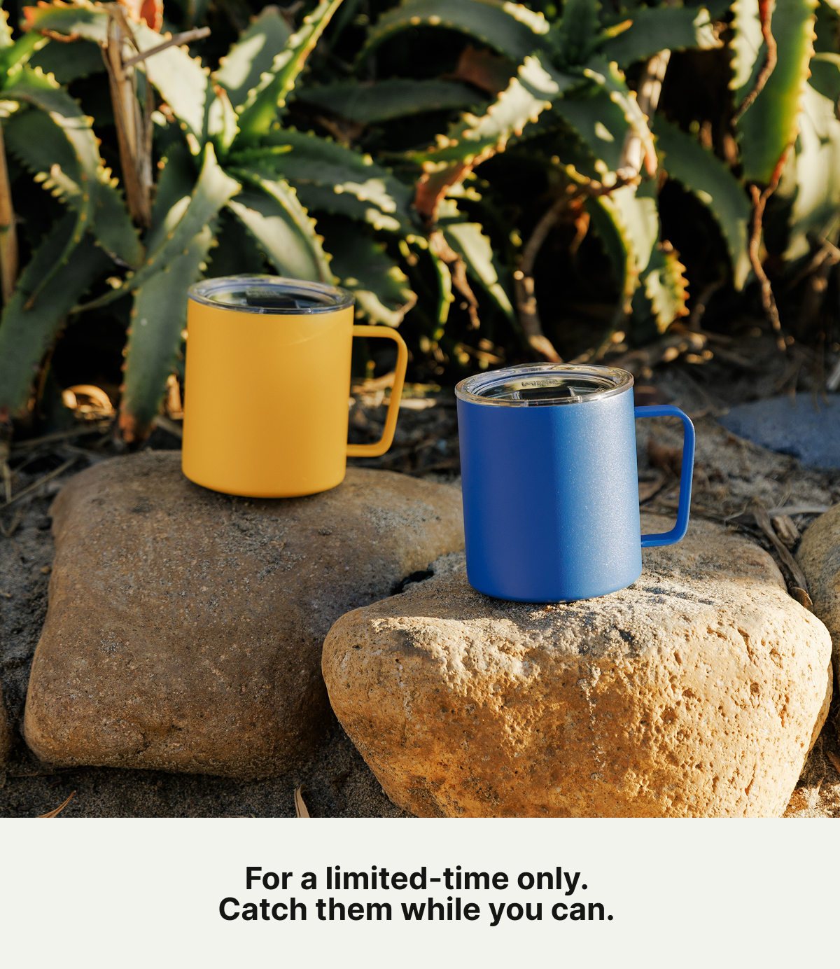 For a limited time only