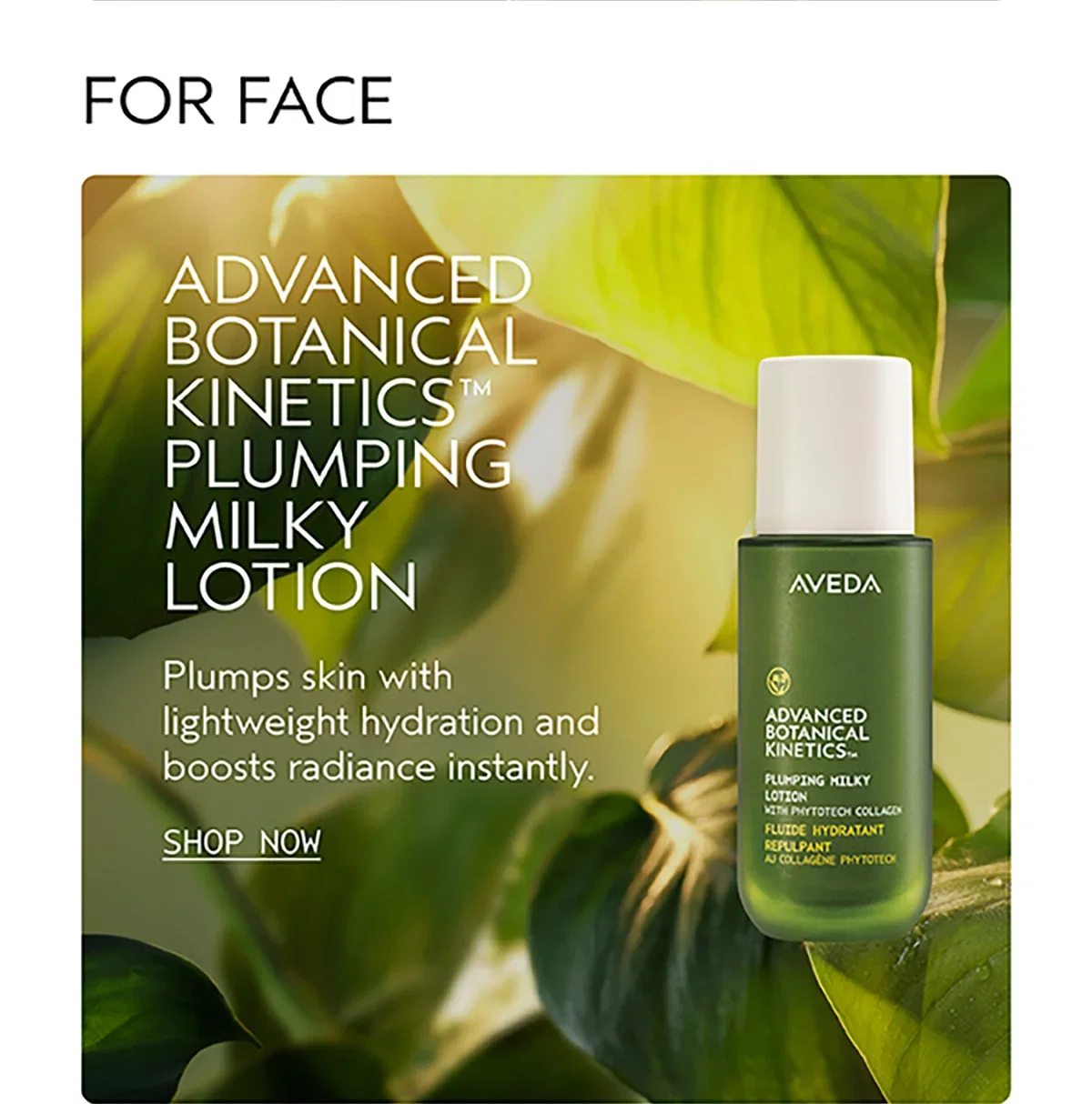 FOR FACE | ADVANCED BOTANICAL KINETICS™ PLUMPING MILKY LOTION | Plumps skin with lightweight hydration and boosts radiance instantly. | SHOP NOW