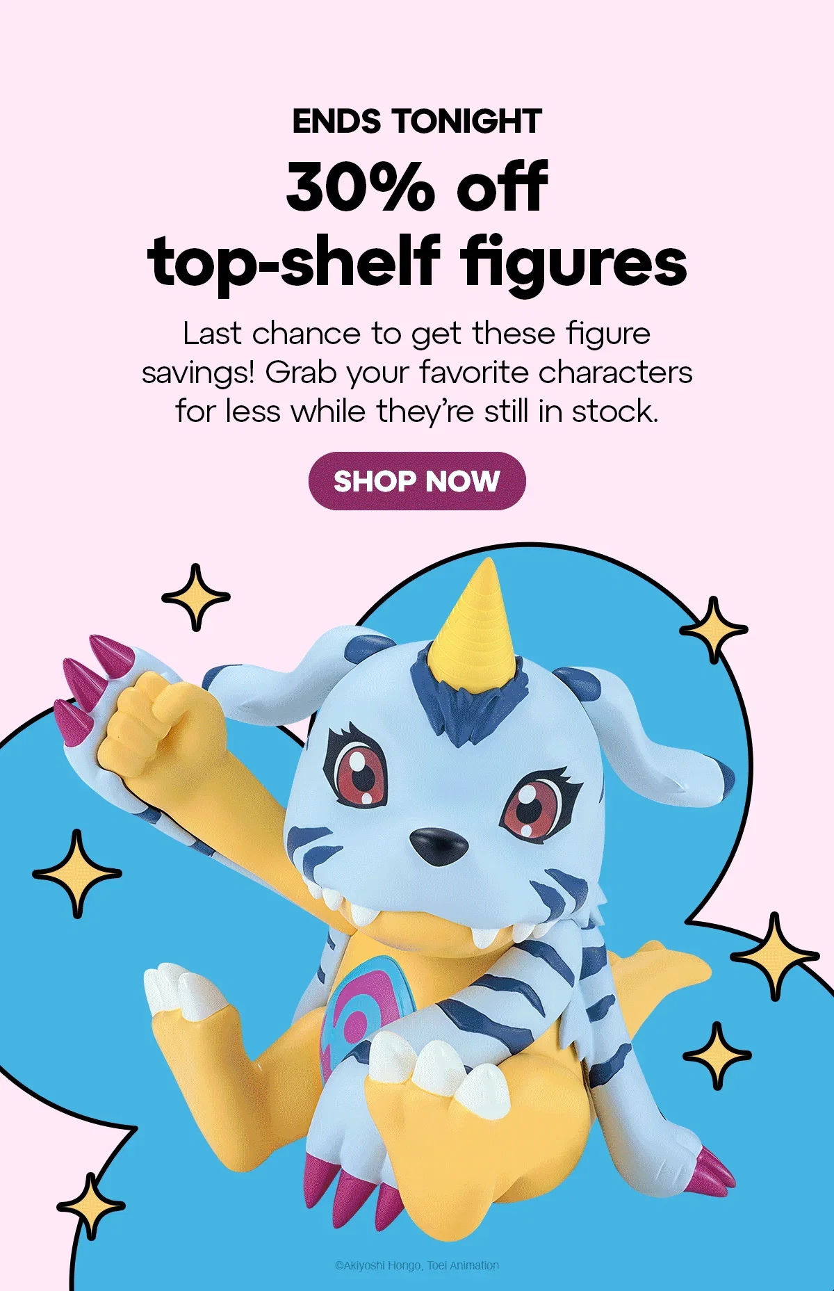 SHOP NOW