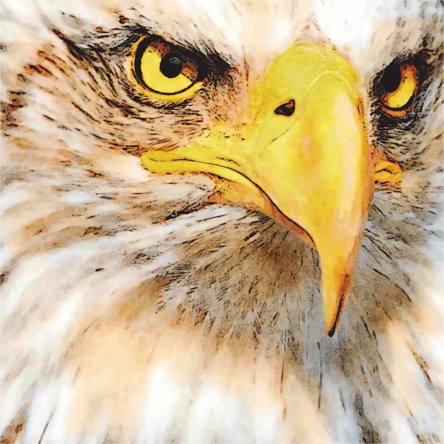 Eagle Puzzle