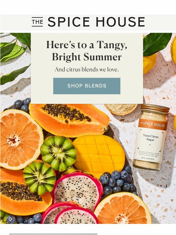 Cheers to A Citrusy Summer 🍋