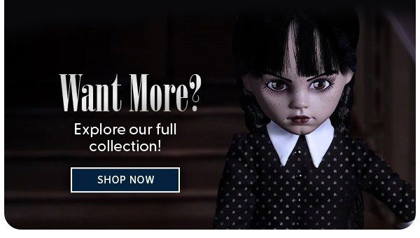 Want More? Explore our full collection! SHOP NOW 