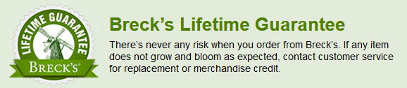 No Risk Guarantee