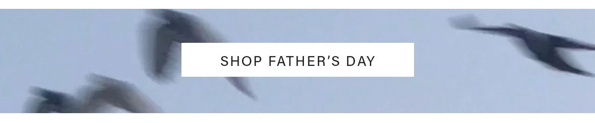 Shop Father's Day