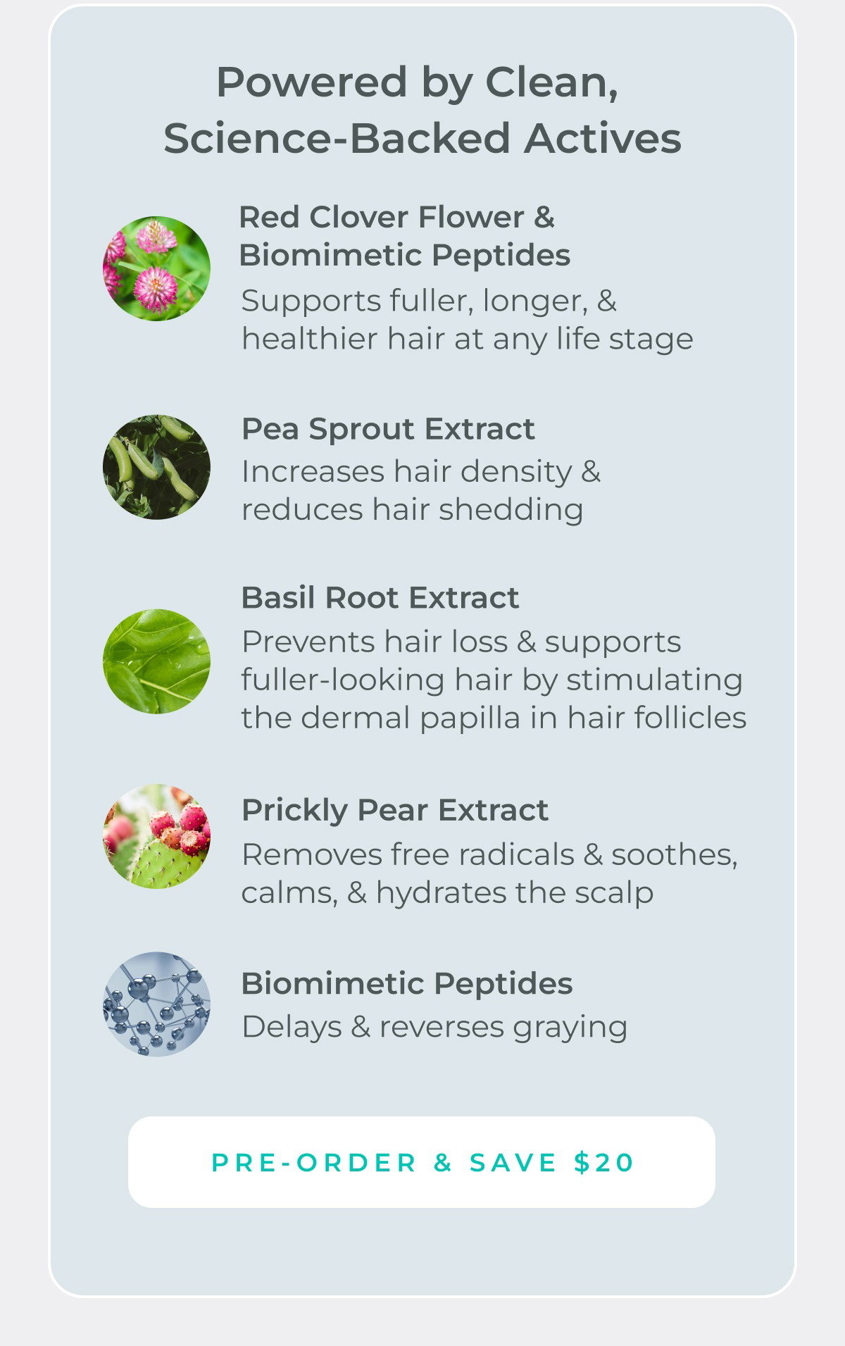 Powered by clean, science-backed actives: Red Clover Flower & Biomimetic Peptides, Pea Sprout Extract, Basil Root Extract, Prickly Pear Extract, and Biomimetic Peptides.