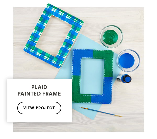 Plaid Painted Frame View Project