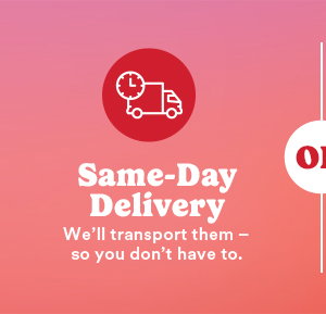 Same-Day Delivery We'll transport them so you don't have to. OR