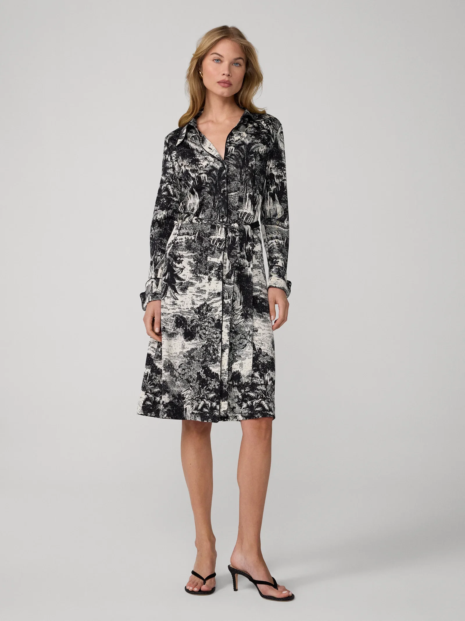 Image of Diane Shirt Dress