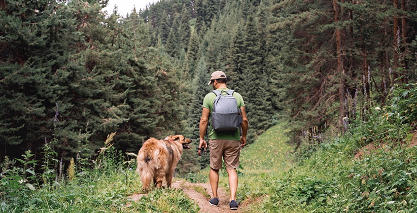A man and his dog taking a hike through a forest. 