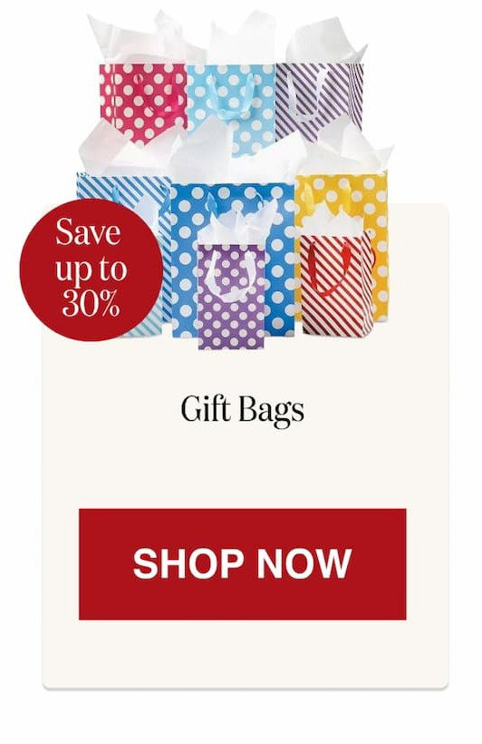 Everyday Gift Bags [Click here to Shop Now]
