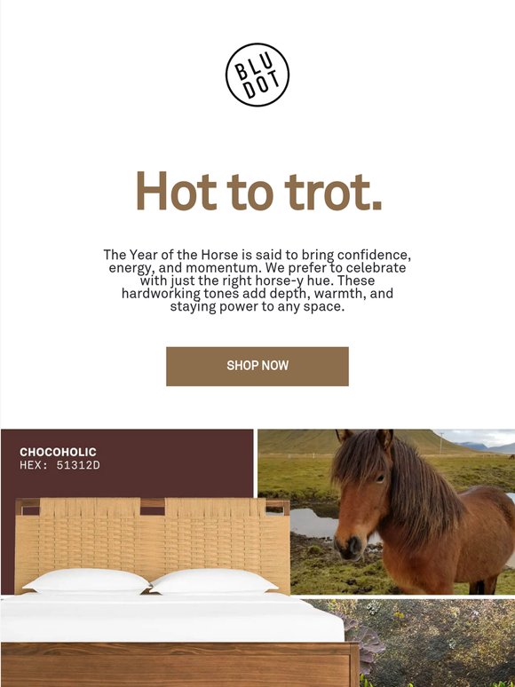 Are you hot to trot?