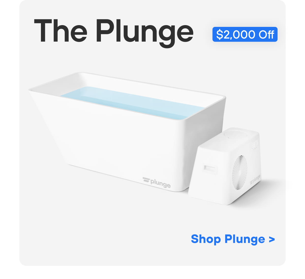The Plunge | Shop Plunge >