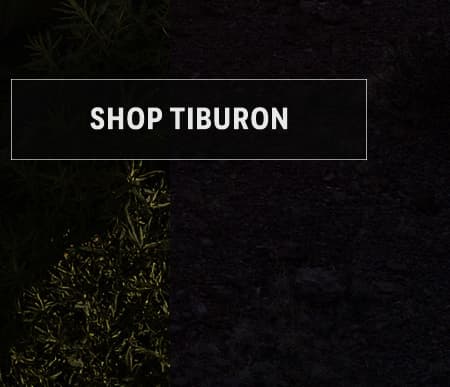 Tiburon