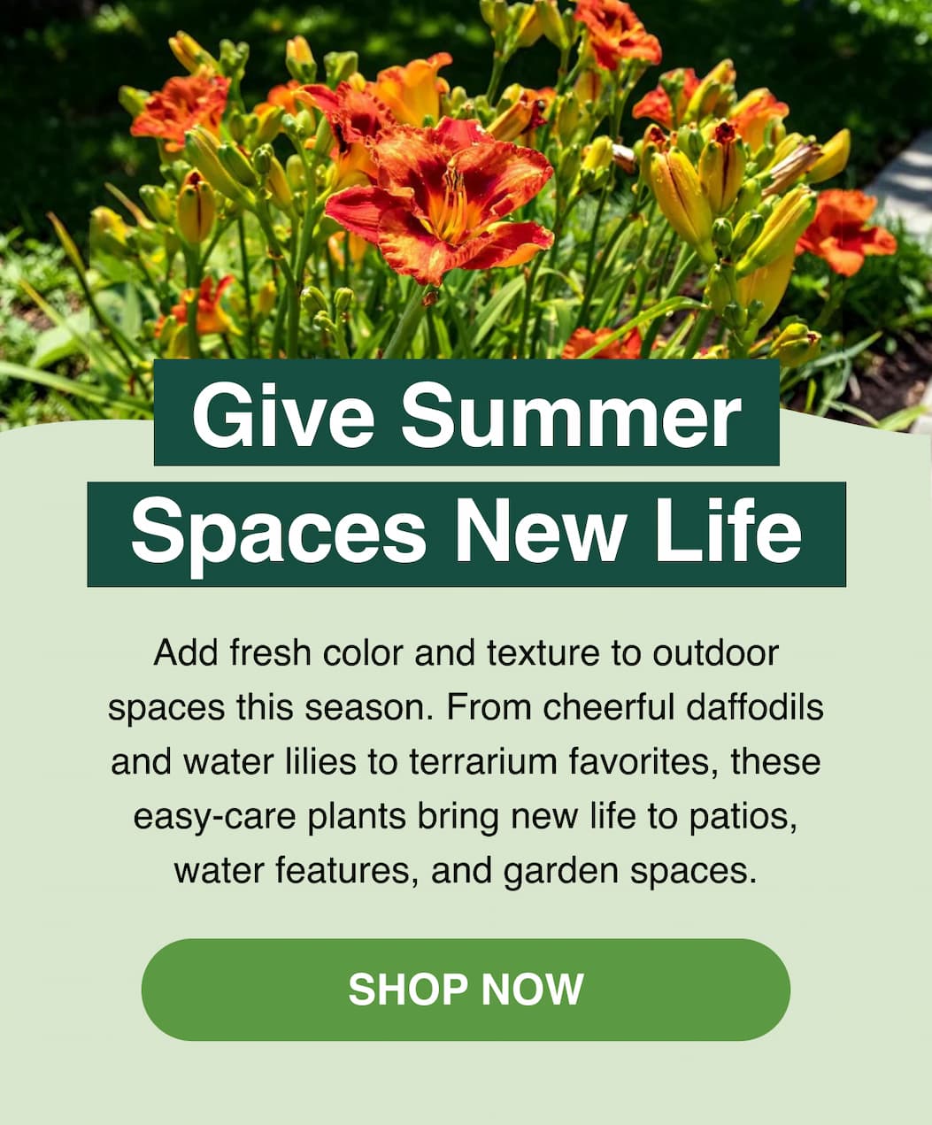 GIVE SUMMER SPACES NEW LIFE