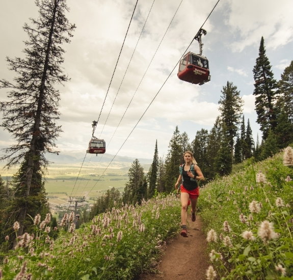 Jackson, Wyoming in summer