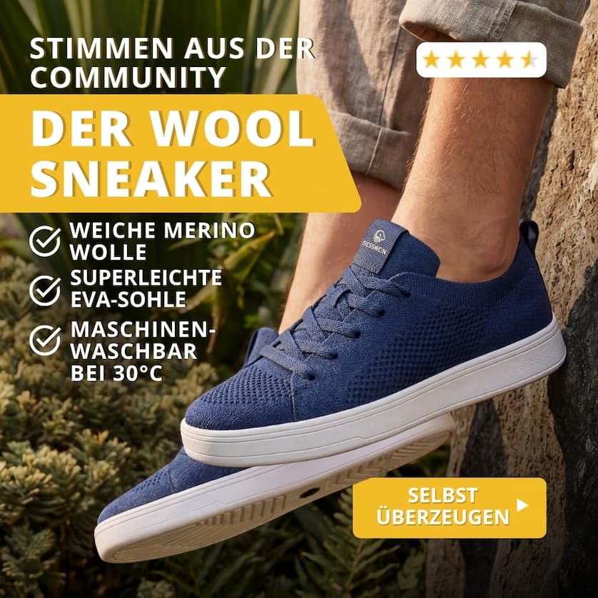 Wool Sneaker Bewertungen
