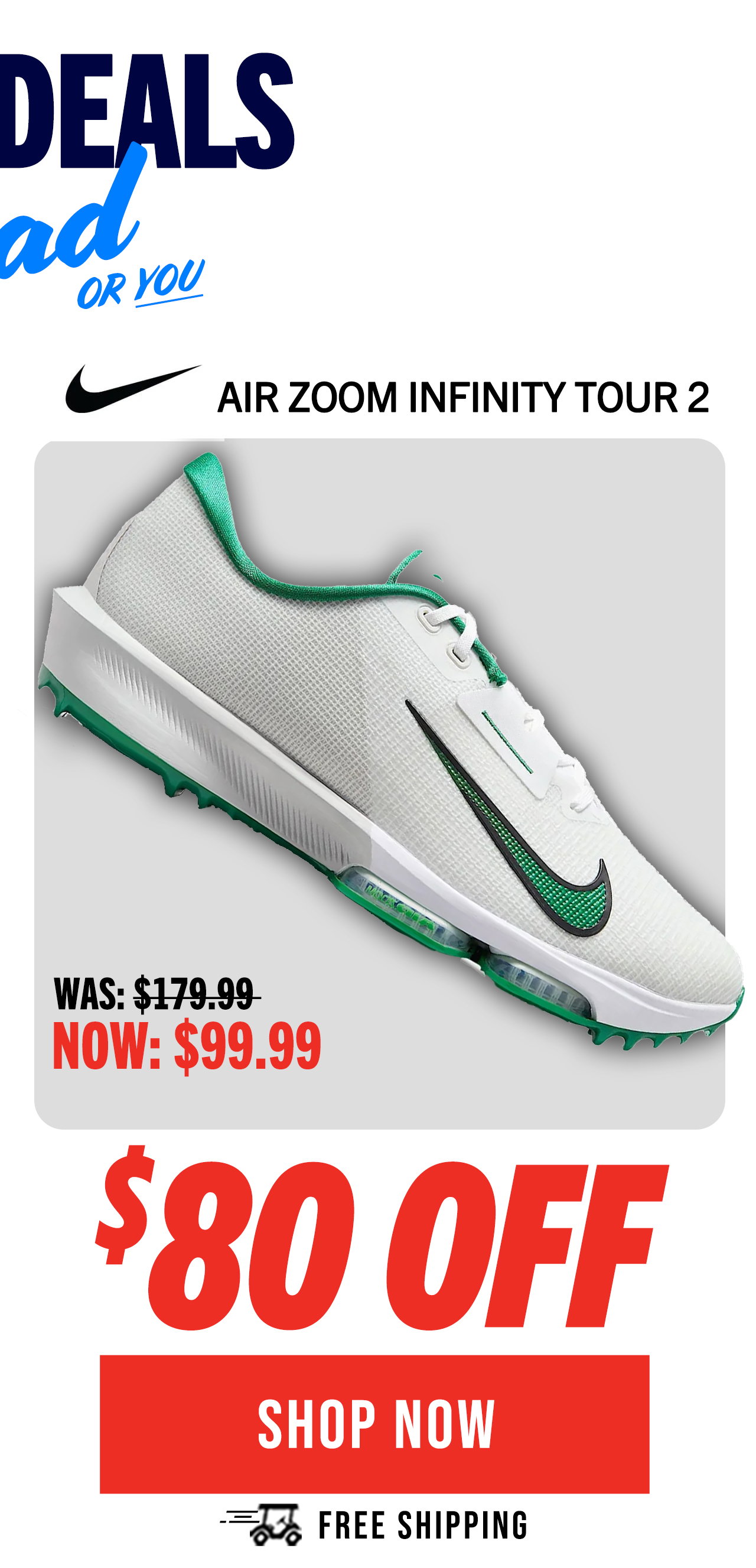 Nike Air Zoom Infinity Tour 2 | Free Shipping