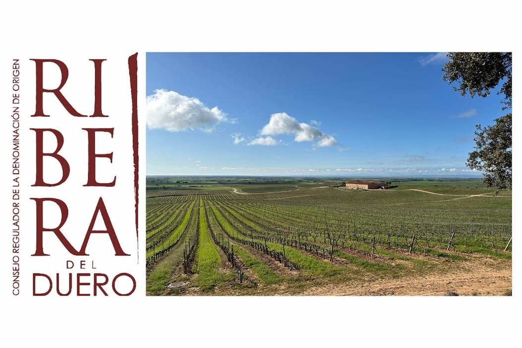 Ribera del Duero