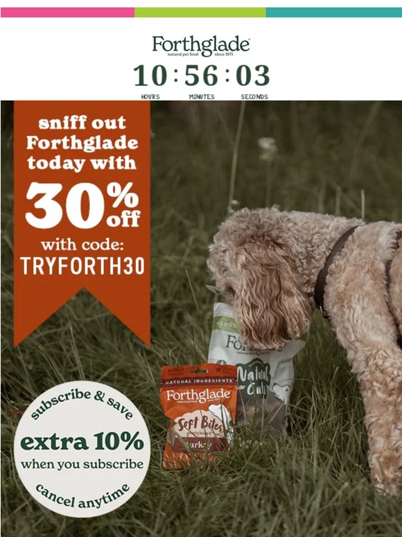 Grab 30% Off + Extra 10% While It Lasts! 💥