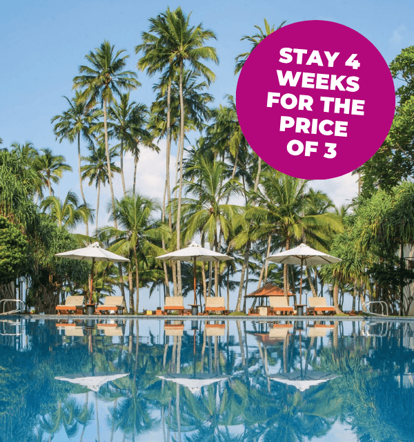 A tranquil pool surrounded by palm trees and sun loungers, reflecting a clear sky.