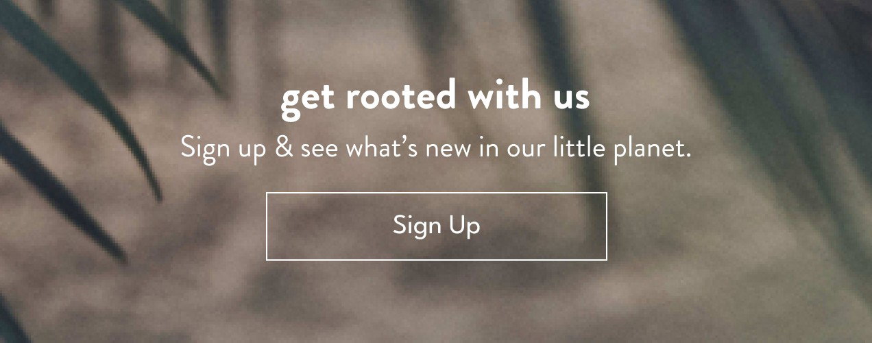 get rooted with us | Sign up & see what's new in our little planet. | Sign Up