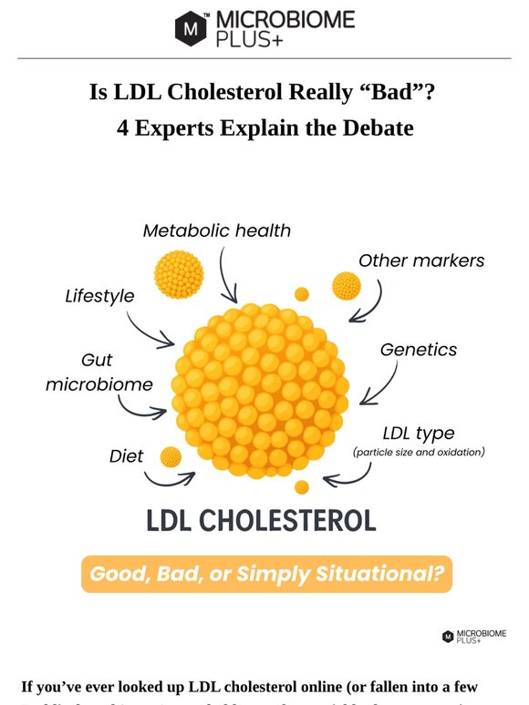 LDL Cholesterol: The Bigger Picture
