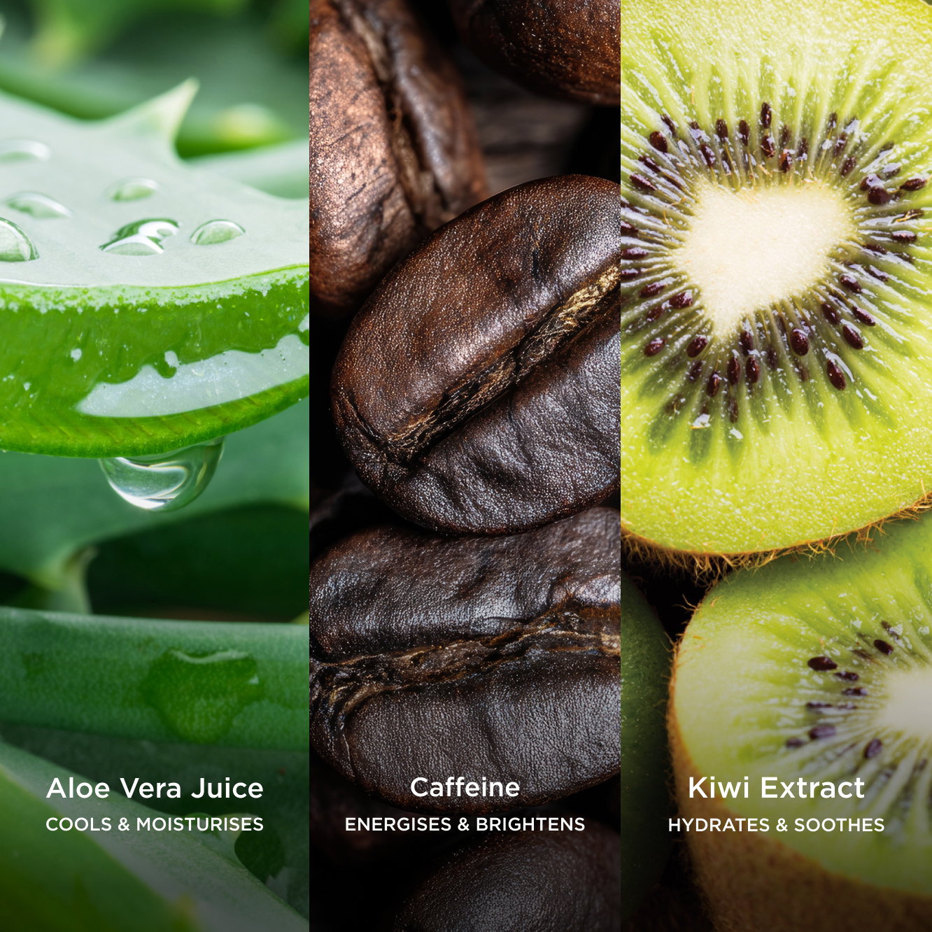 Gel Body Cleansers Ingredients
