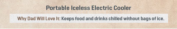 Portable Iceless Electric Cooler