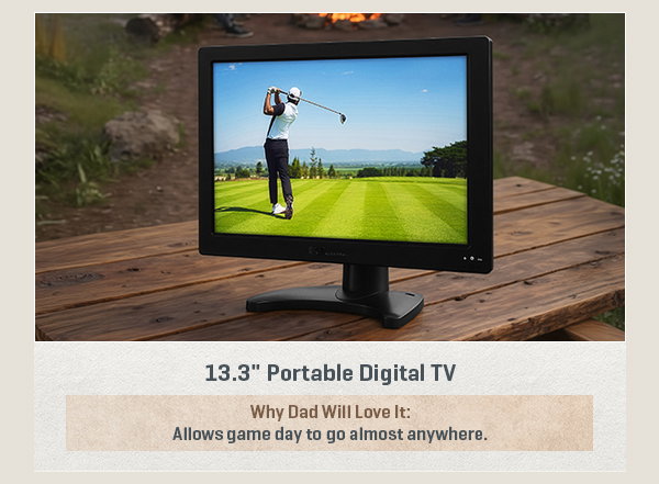 13.3'' Portable Digital TV