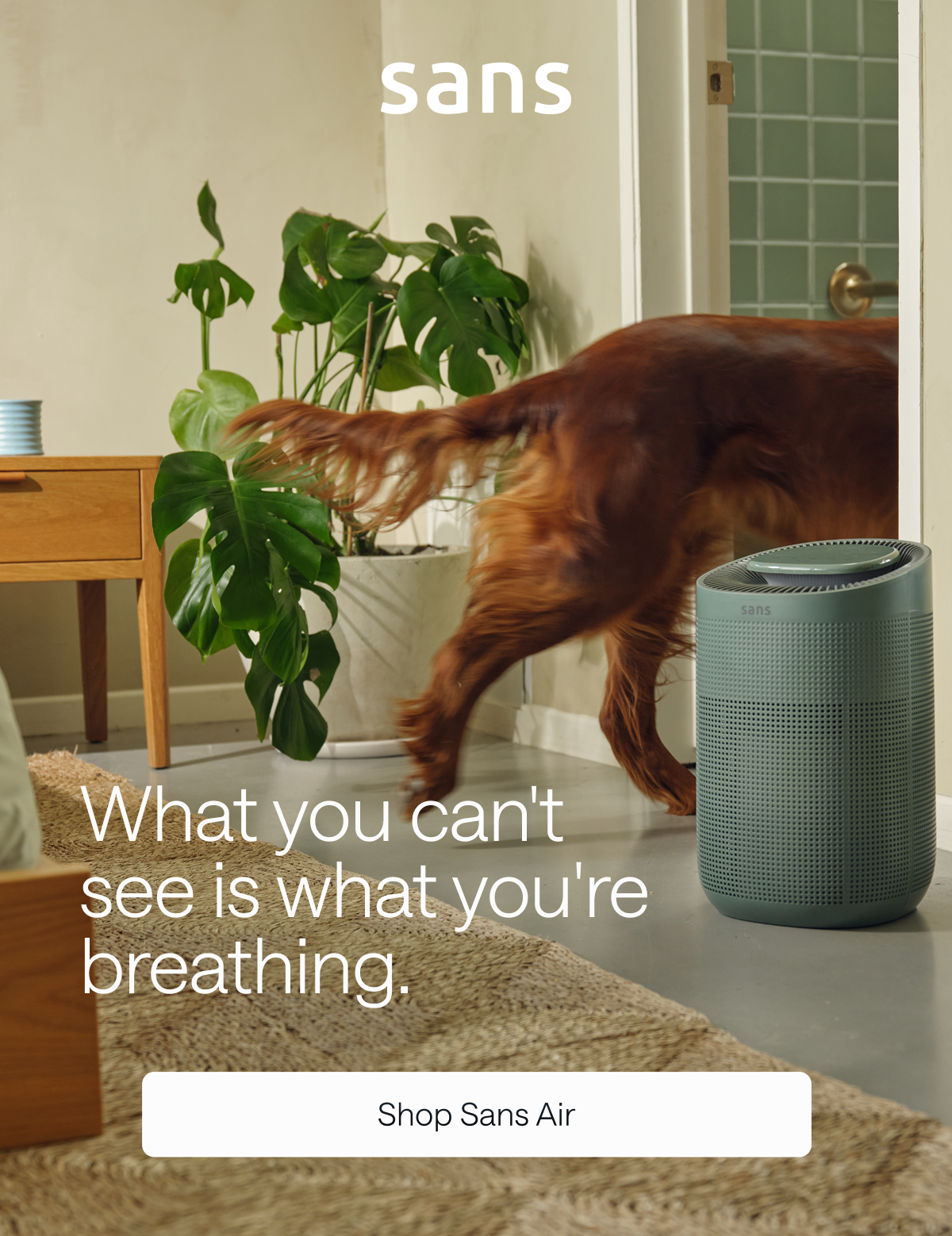 Sans. What you can't see is what you're breathing. Shop Sans Air.