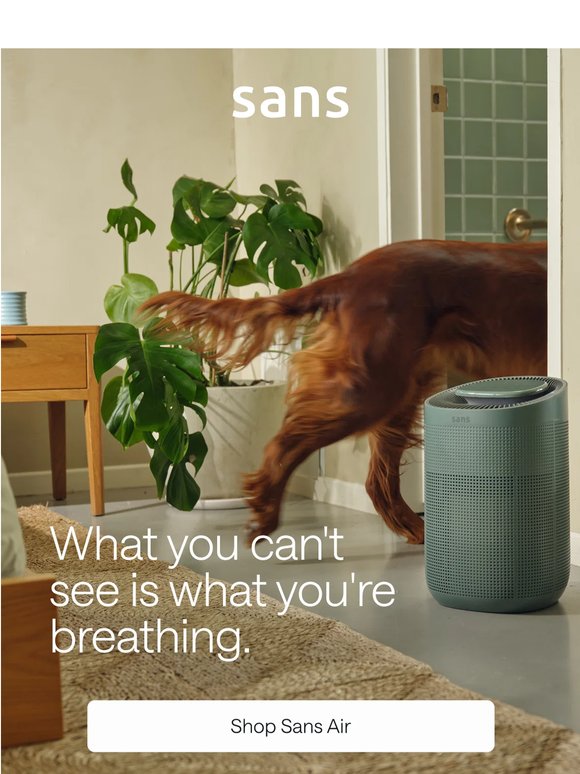 The hidden problem with clean-looking homes.