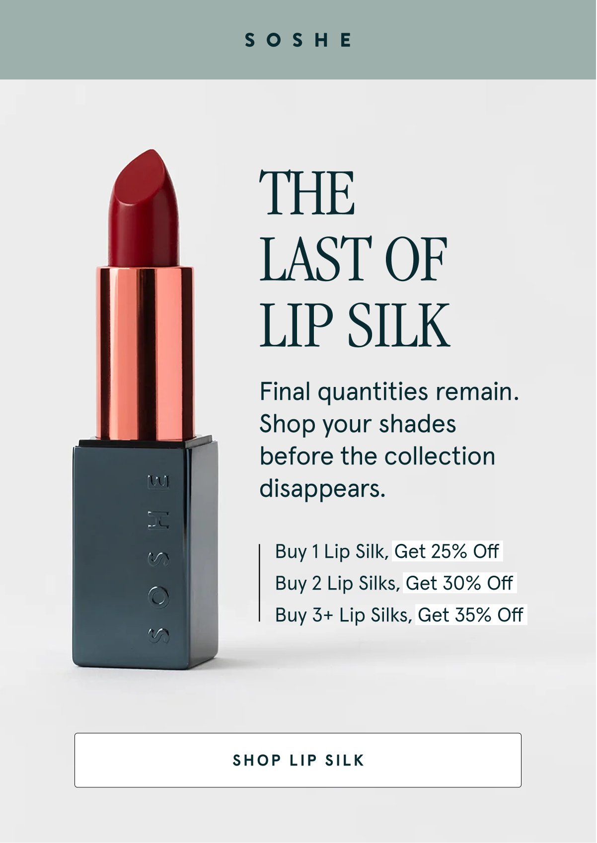 The Last of Lip Silk. Final quantities remain. Shop your shades before the collection disappears. Buy 1 Lip Silk, Get 25% Off, Buy 2 Lip Silks, Get 30% Off, Buy 3+ Lip Silks, Get 35% Off.