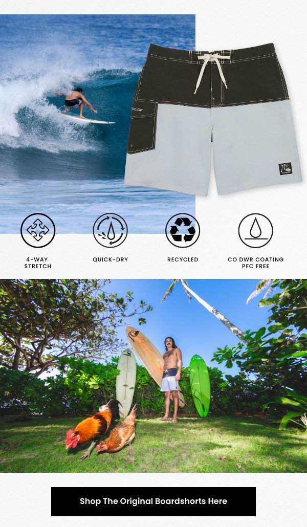 Original Blocked 19" Boardshorts