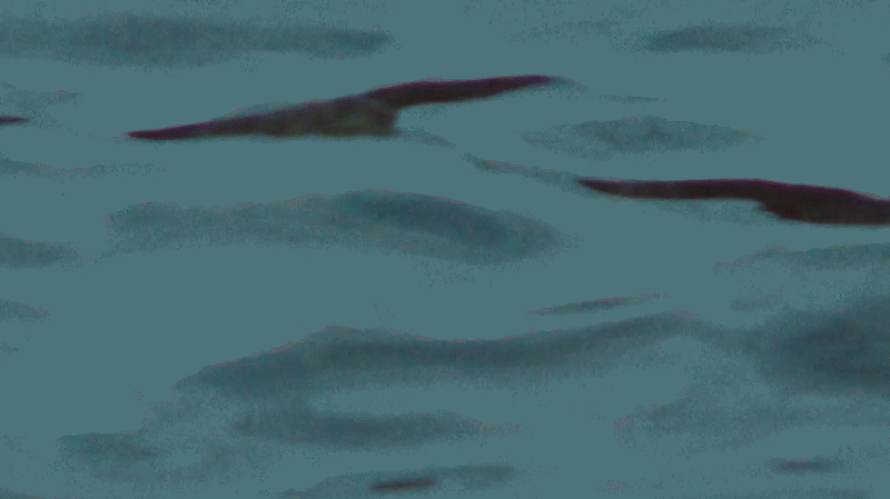 Ocean waves at dawn