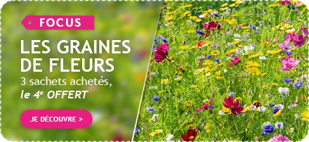 Graines de fleurs : 3 paquets achetés le 4ème offert !