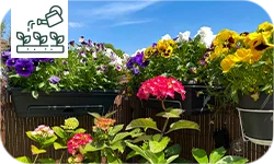 Comment transformer un balcon ou une terrasse en jardin d'été ?