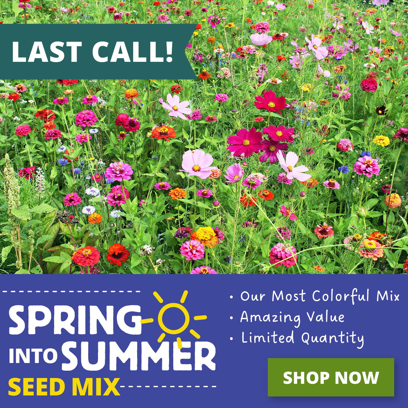 Spring Into Summer Mix