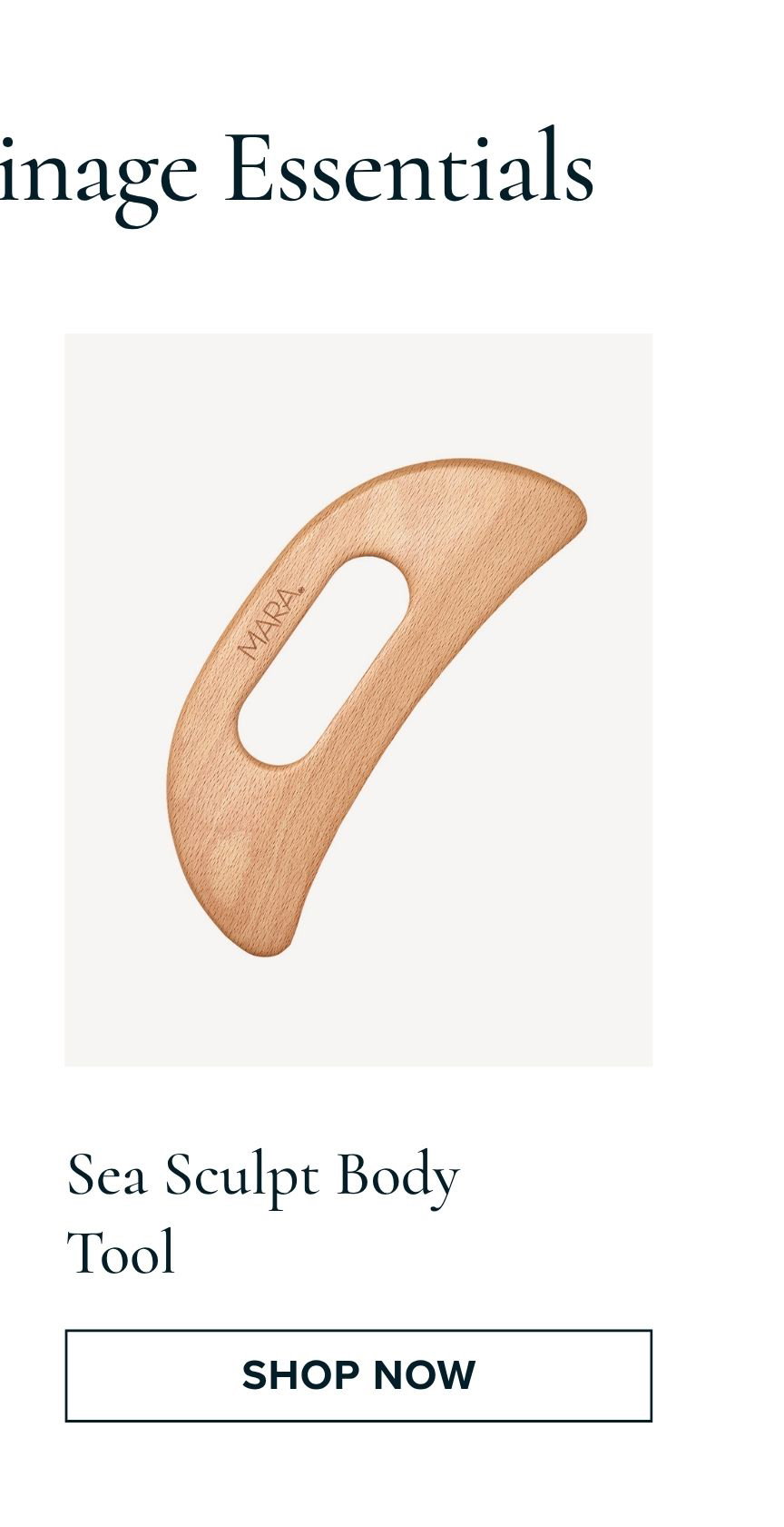 Sea Sculpt Body Tool