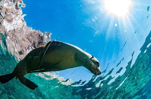 Highlights of Ecuador & the Galapagos