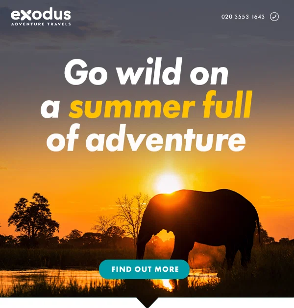 Go Wild on a Summer Full of Adventure