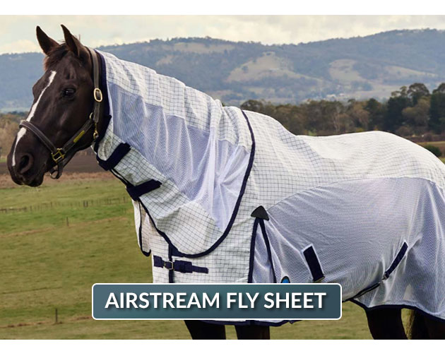 New airstream fly sheet