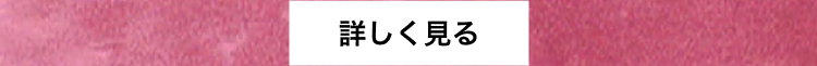 詳しく見る