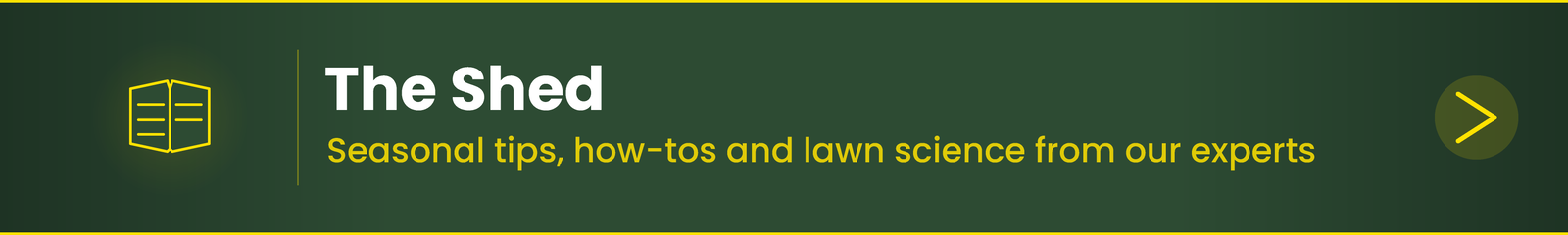 Explore The Shed for lawn tips, seasonal guides, and smarter yard care ideas.